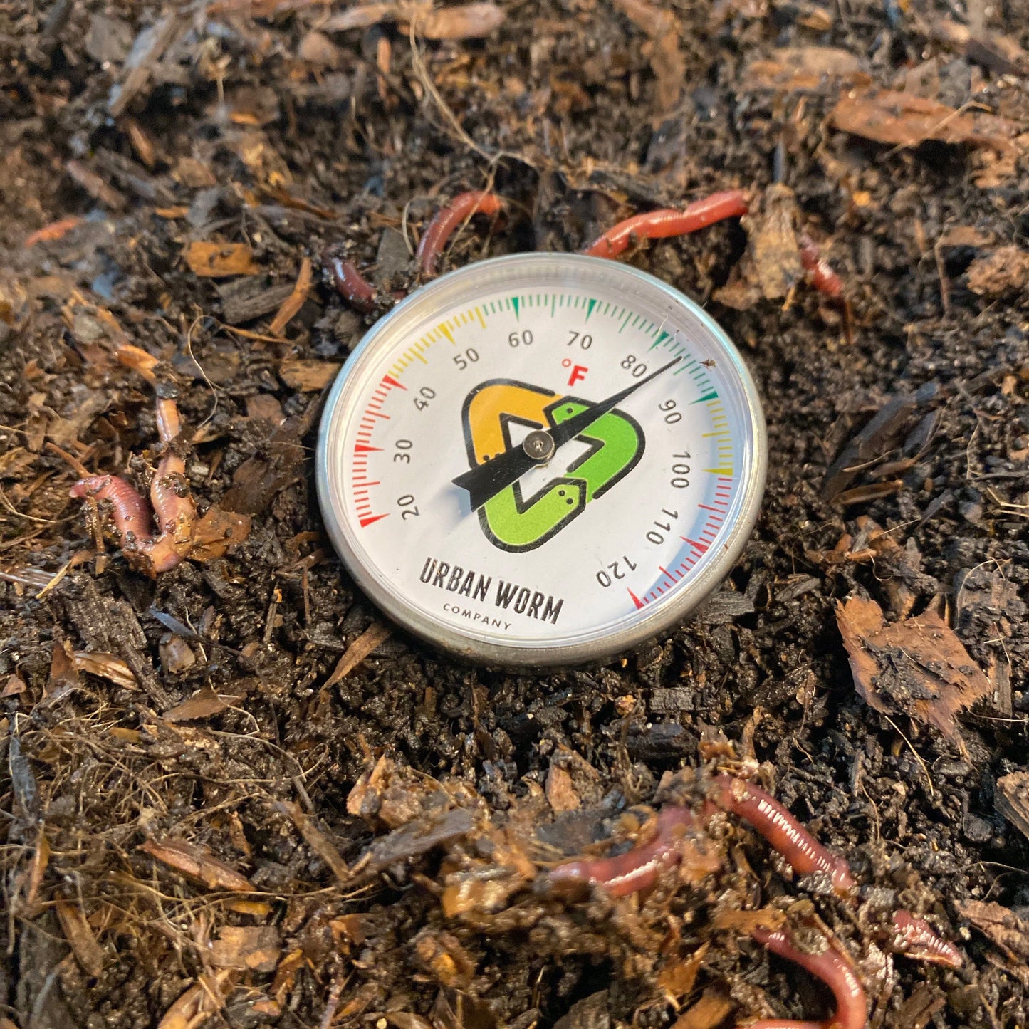 6-Pack Coco Coir & Thermometer Promo